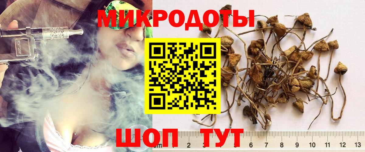 Псилоцибиновые грибы Magic Shrooms  Вход с VPN  Гагарин 